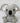 Zuzu The Tiny Koala