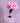 Carnation _ Crochet Flower