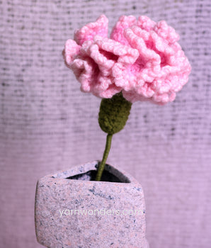 Carnation _ Crochet Flower