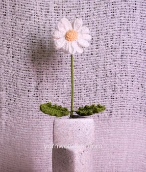 Daisy _ Crochet Flower