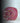 Ganga Acrowools Crypto -100% Acrylic Yarn_ FXT6853
