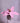 Lily _ Crochet Flower