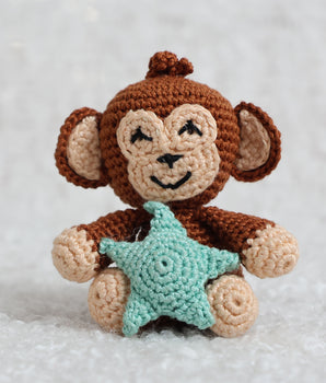 Ham The Star Monkey