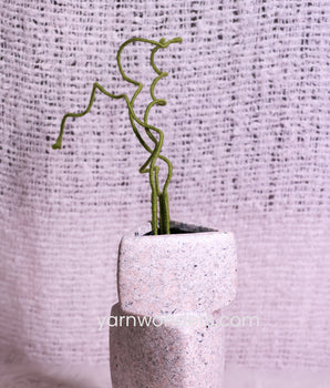 Spiral  _ Crochet Flower