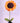 Sunflower _ Crochet Flower