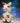 Crochet Cow - Pre Recorded Course - Step-by-Step Crochet Course