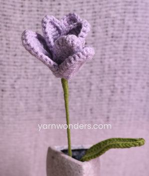 Tulip Flower _ Crochet Flower