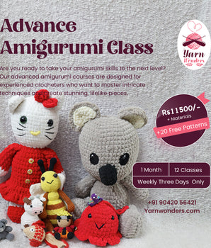 Advance Amigurimi class_ One on one